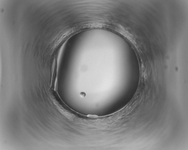 X0000059810013200510211128