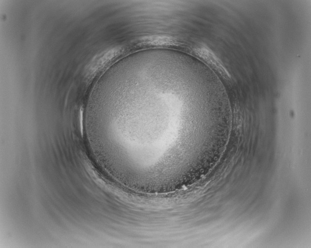 X0000059810014200510211128