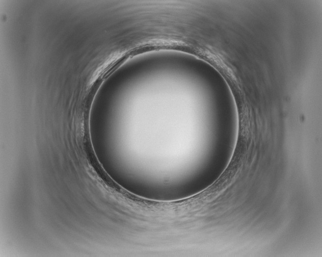 X0000059810015200510211128