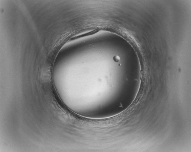 X0000059810017200510211128