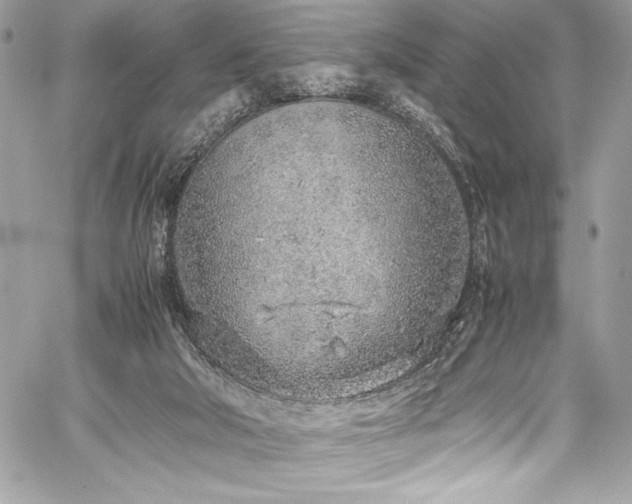 X0000059810018200510211128