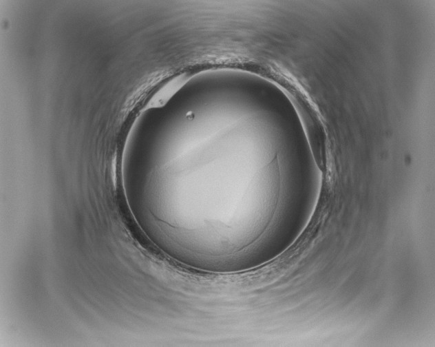 X0000059810019200510211128