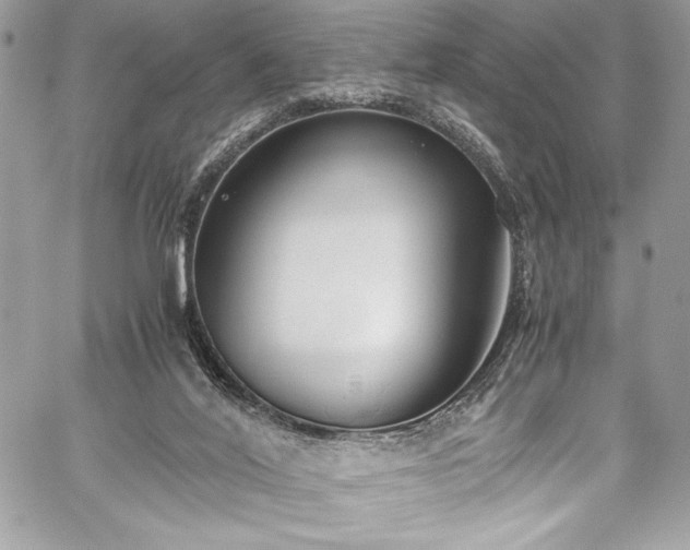 X0000059810020200510211128