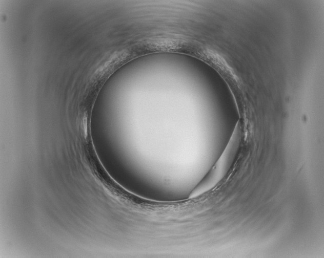 X0000059810021200510211128