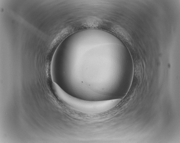 X0000059810023200510211128