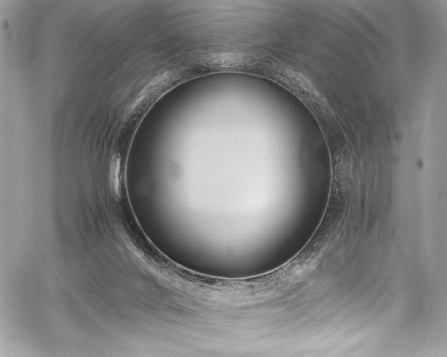 X0000059810024200510211128