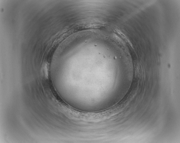 X0000059810026200510211128