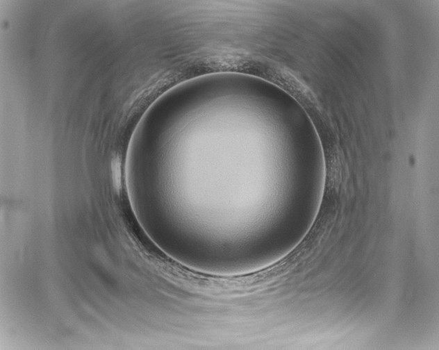 X0000059810027200510211128