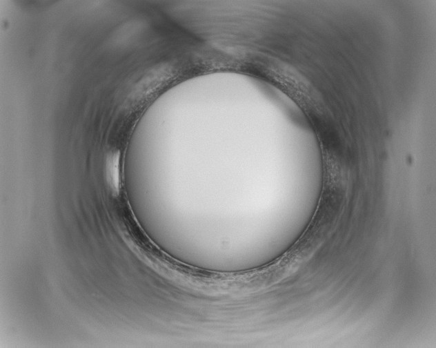 X0000059810028200510211128