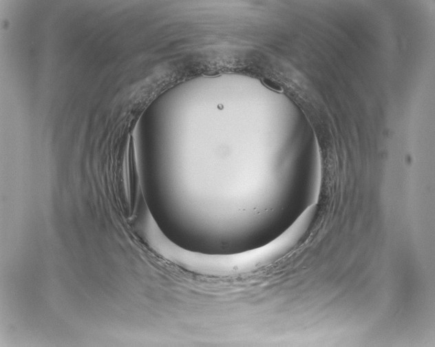 X0000059810029200510211128