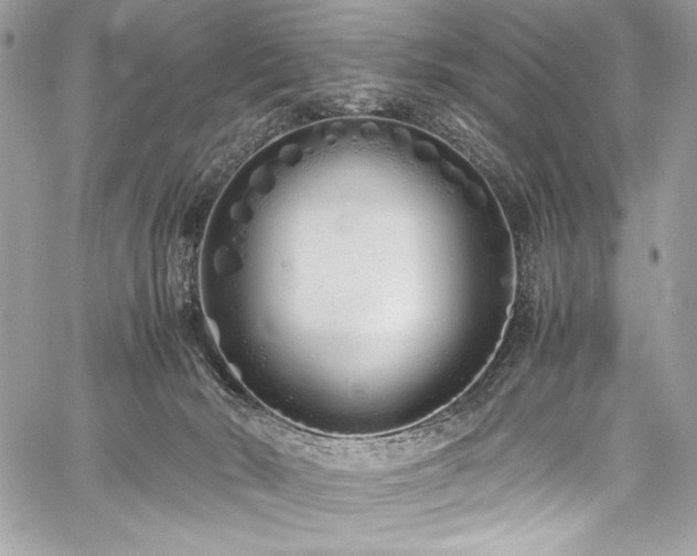 X0000059810030200510211128