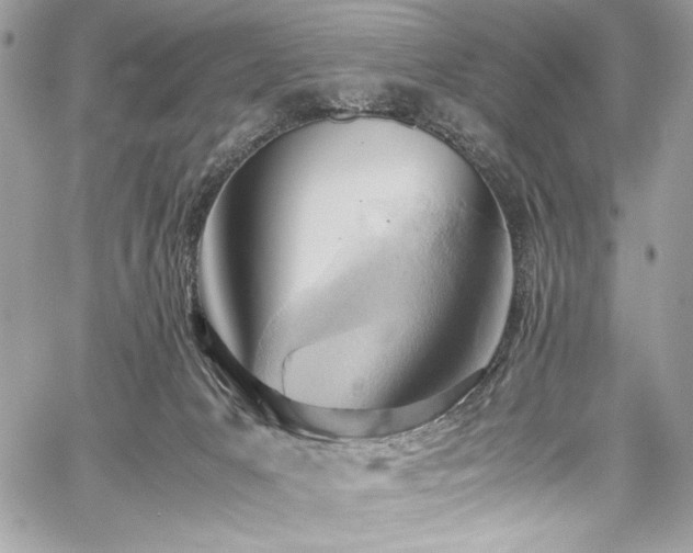 X0000059810031200510211128