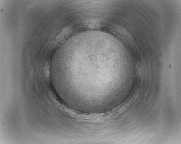 X0000059810032200510211128