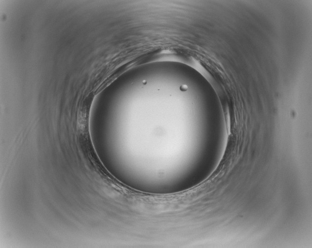 X0000059810033200510211128