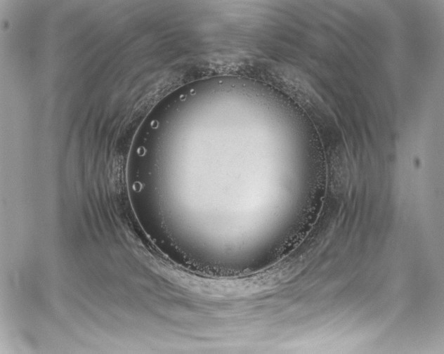 X0000059810034200510211128