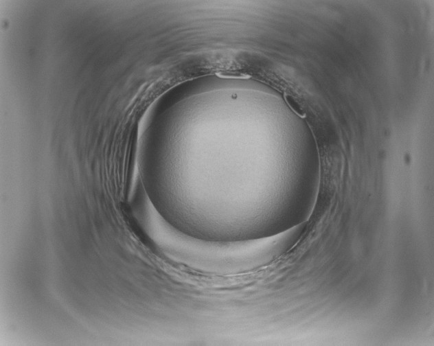 X0000059810035200510211128