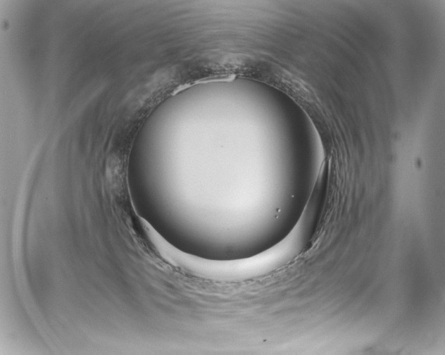 X0000059810037200510211128