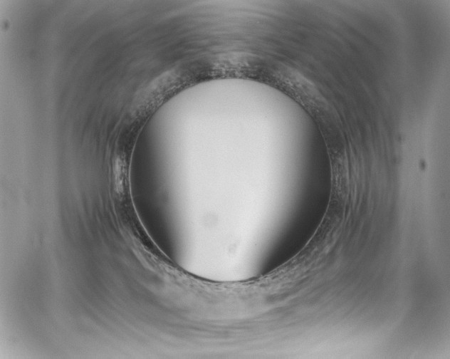 X0000059810038200510211128