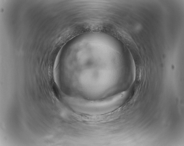 X0000059810039200510211128