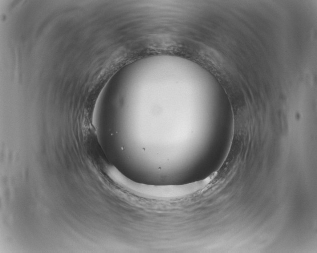 X0000059810040200510211128