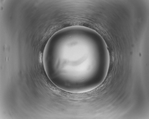 X0000059810041200510211128