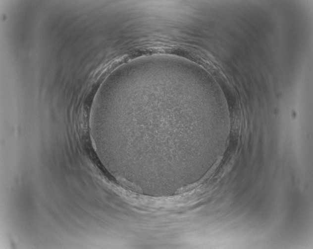 X0000059810043200510211128