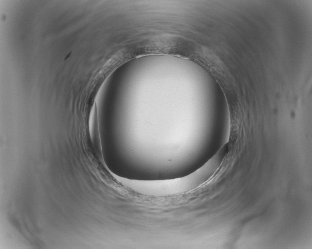 X0000059810045200510211128