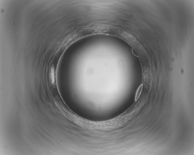 X0000059810046200510211128