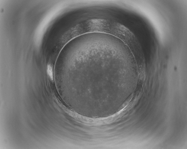 X0000059810047200510211128