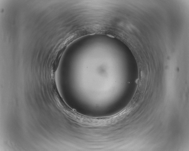 X0000059810048200510211128