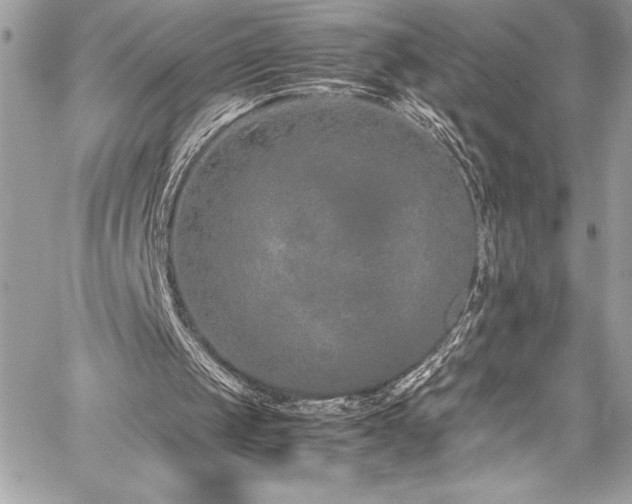 X0000059810049200510211127