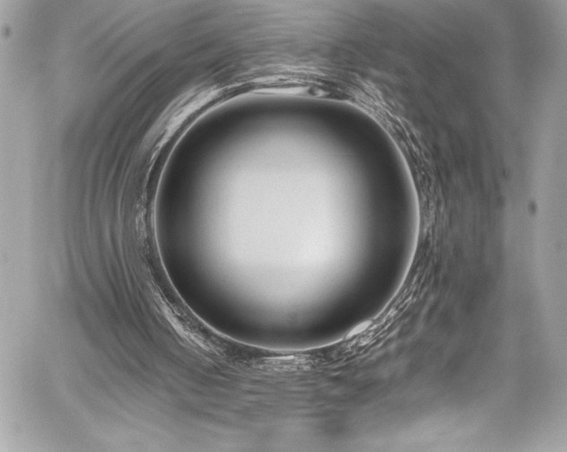 X0000059810050200510211127