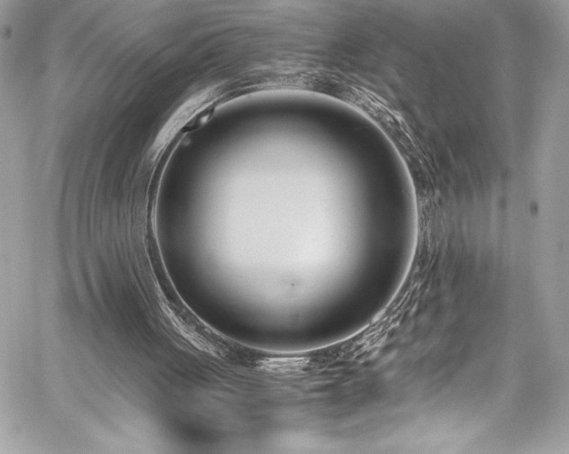 X0000059810051200510211127