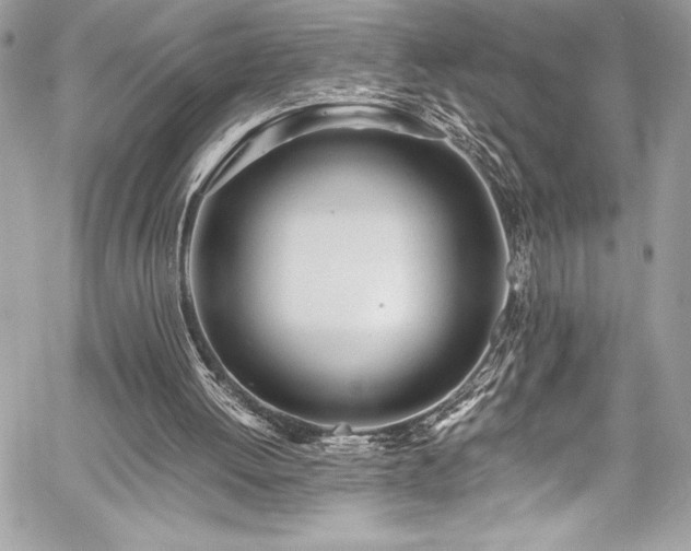 X0000059810052200510211127