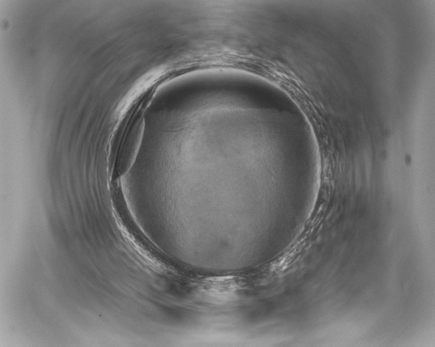 X0000059810054200510211127