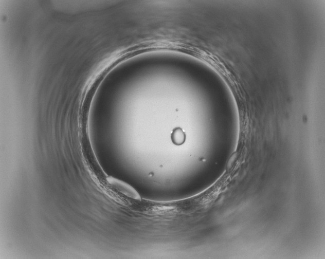 X0000059810055200510211127