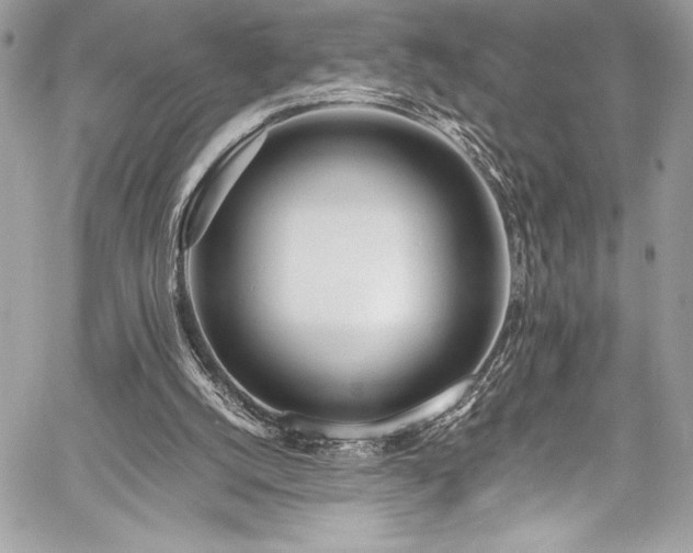 X0000059810056200510211127