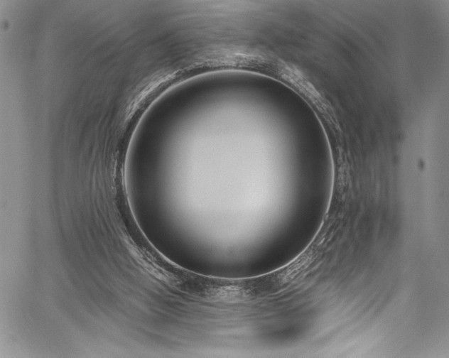 X0000059810058200510211127