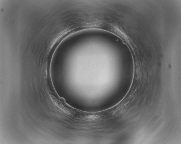 X0000059810059200510211127