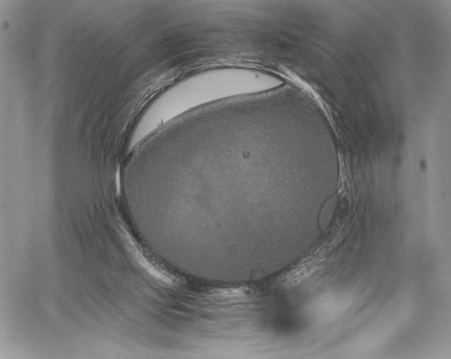 X0000059810061200510211127