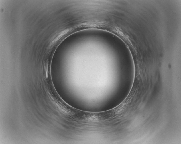 X0000059810062200510211127