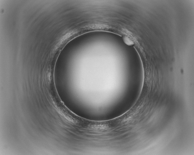 X0000059810063200510211127