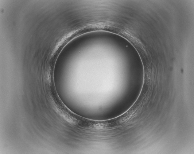 X0000059810064200510211127