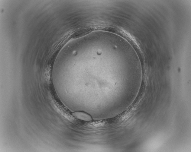 X0000059810065200510211127