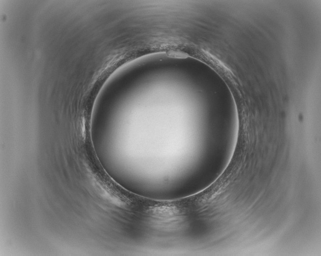 X0000059810067200510211127