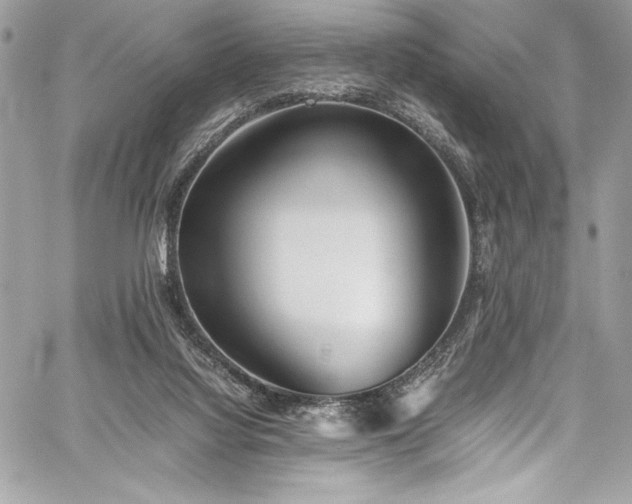 X0000059810068200510211127