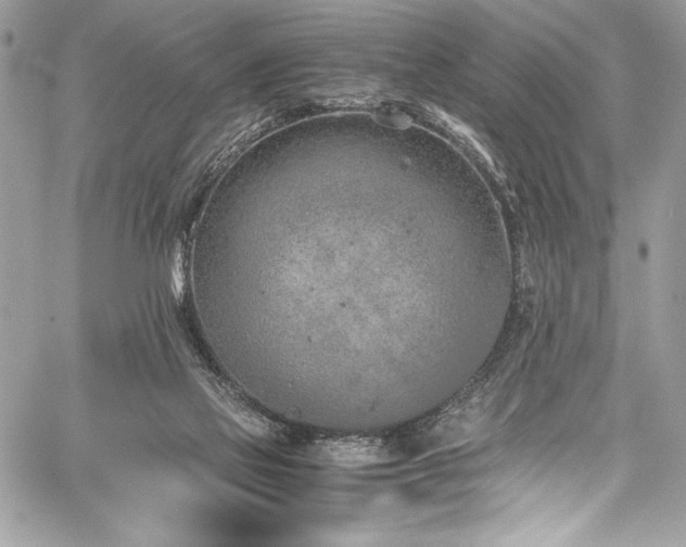 X0000059810069200510211127