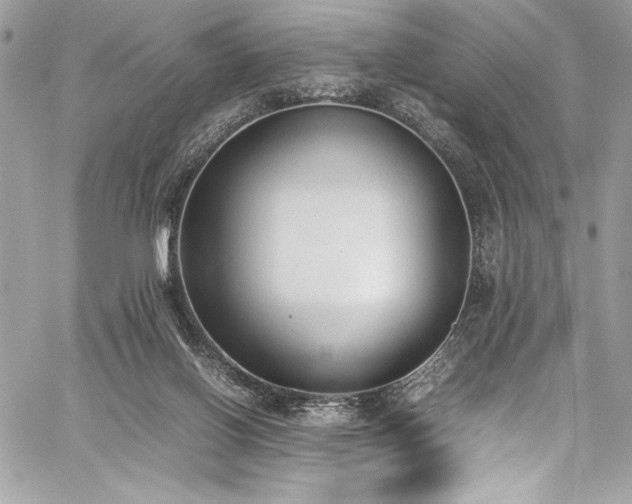 X0000059810070200510211127