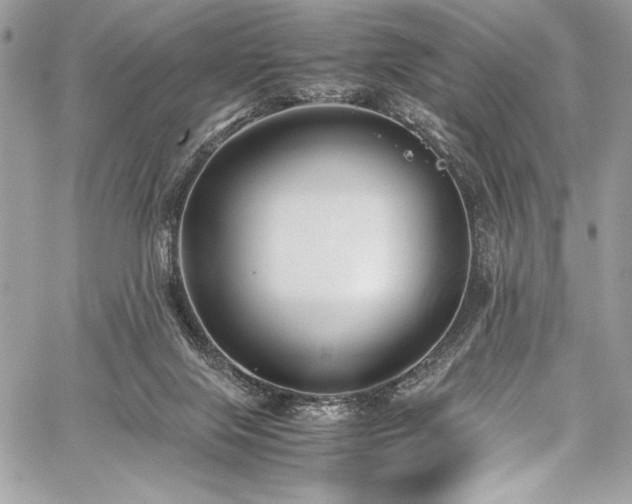 X0000059810071200510211127