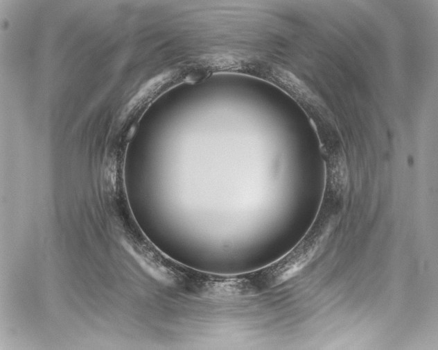 X0000059810072200510211127